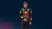 Ver Red Bull GIF by Red Bull Racing Honda