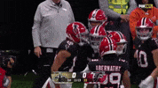 Celebrate Rise Up GIF by Atlanta Falcons