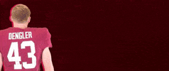 Football Roll Pards GIF by Lafayette Leopards