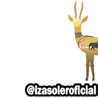South Africa Safari Sticker by Izasoler