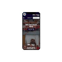 Shopping Shop Sticker by delaaysport