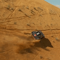 Race Drift GIF by Red Bull