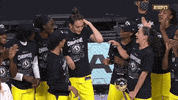 Happy Lets Go GIF by WNBA