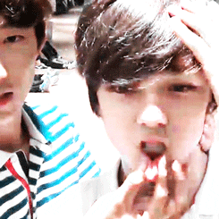 seventeen GIF