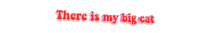 the beach bum animated text Sticker by NEON