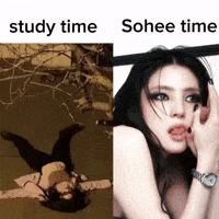 Hsh Hansohee GIF
