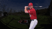 Baseball GIF by Seattle U Redhawks