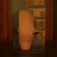Blink Reaction GIF by ENSI