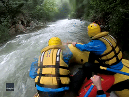 Rafters Stop to Rescue Deer From Rapids Near Italian Waterfall