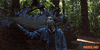 Frances Mcdormand California GIF by Searchlight Pictures