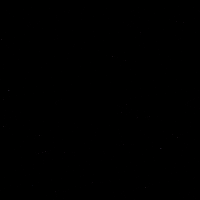 Celebration Hockey GIF by Eisbären Berlin