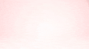 GIF by Revista Shimmie