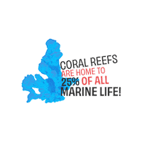 Marine Life Ocean Sticker by UN Environment Programme
