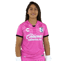 Happy Feliz Sticker by Club Querétaro