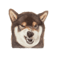 Hungry Shiba Inu Sticker