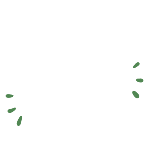 Noveny Wildflowerbar Sticker by Plante Budapest
