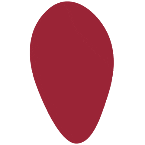 bula_fabula giphyupload giphythatsgonnabeanofrommedawg fabula bula Sticker