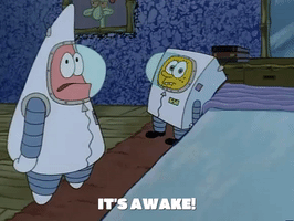 season 1 sandy's rocket GIF by SpongeBob SquarePants