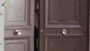 Good Morning Hello GIF by discovery+