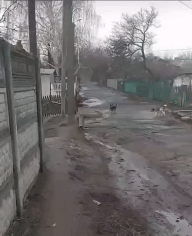 longv1c59 giphyupload GIF