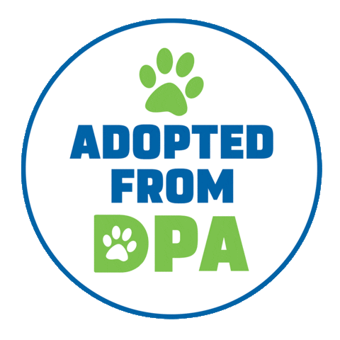 DallasPetsAlive giphyupload adoptdontshop animallover dpa Sticker