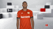 Waving Come On GIF by Bundesliga