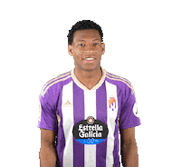 Football Soccer Sticker by Real Valladolid