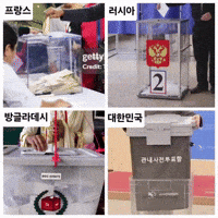 배급견 GIF