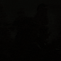Regina George Hair Flip GIF by Mean Girls