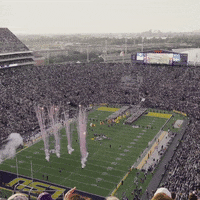 Lsu Football Lsufb19 GIF by LSU Tigers