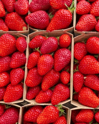 Summer Strawberry GIF by Cedric Grolet