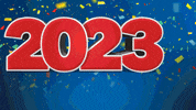 Happy New Year GIF by Shippensburg University