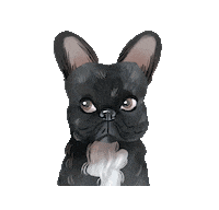binisignature frenchbulldog binisignature bini signature Sticker