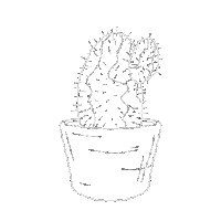 Art Design Sticker