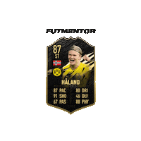 Fifa Dortmund Sticker by FUT Mentor