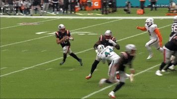 Nfl Touchdown GIF by New England Patriots