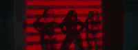 Cq GIF by Citizen Queen