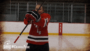 happy good times GIF by Robert Morris University Athletics