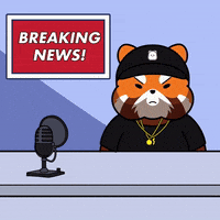 Breaking News GIF by Kanpai Pandas