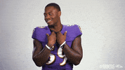 Football Nfl GIF by Baltimore Ravens
