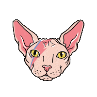 vanessanoerenbergarts cat luck poppy bowie Sticker