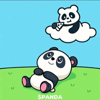 Happy Red Panda GIF by PandaMania