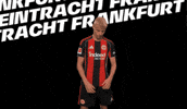 Bundesliga Winner GIF by Eintracht Frankfurt