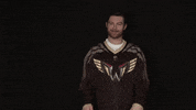 big cat lacrosse GIF by NLLWings