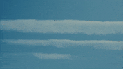 New England Guitar GIF by Topshelf Records