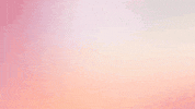 Fitness Health GIF by RENPHO