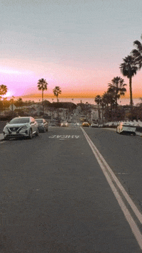 METCHA vhs skate leather reels GIF