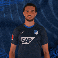 Sport Bundesliga GIF by TSG Hoffenheim