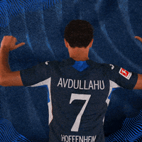 Sport Bundesliga GIF by TSG Hoffenheim