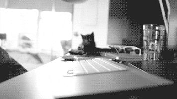 computer GIF